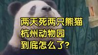 两天死两只熊猫，杭州动物园到底怎么了？