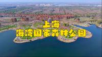 上海海湾国家森林公园～2025.03.01
