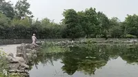 2023年5月20日保定植物园和要姐一起玩嗨了，还弄了一些标本，一周后期待成功