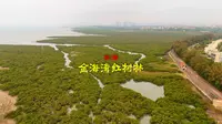 250328北海金海湾红树林4K