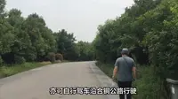 紫蓬山深度游：如何一天内玩转森林公园与历史文化