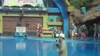 大连老虎滩海洋公园欢乐剧场