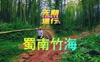 蜀南竹海！坐竹筏、挖竹笋、爬竹山！实在太大了，三天都玩不过来