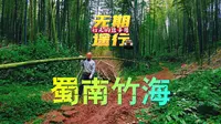 蜀南竹海！坐竹筏、挖竹笋、爬竹山！实在太大了，三天都玩不过来