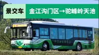 【柴油宇通在兴安岭的狂飙】阿尔山国家森林公园观光车/景区交通车/游览车全程前方展望/路程景/POV（金江沟门区→驼峰岭天池）