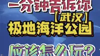 武汉极地海洋公园新手游玩全攻略来啦！收藏起来春节出游能用上！