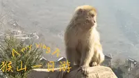 河南济源五龙口猴山一日游