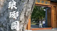 【临沂｜琅琊园】独属于临沂自己的小江南，临沂琅琊园，这也太好逛了吧！