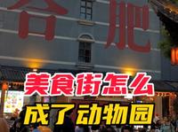 合肥罍街，你个骗子！说好的餐饮街呢，原来是艺术馆？#合肥 #旅行 #生活