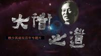 大道之道——赖少其诞辰百年专题片