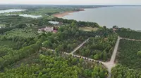江西省南昌市 青岚湖及磊鑫生态园