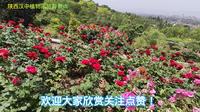 陕西汉中植物园旅游景点，景区风景非常优美漂亮，值得大家欣赏