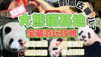 可爱超标！成都大熊猫基地宝藏游玩攻略