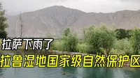拉萨下雨了，去拉鲁湿地，国家级自然保护区，到了有点失望