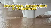 8月24号7点左右，洪水过境南宁邕江大桥，有人在桥墩处游泳。