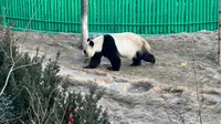 游威海西霞口神雕山野生动物园（1）