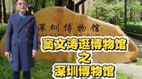 窦文涛逛博物馆之深圳博物馆   完整版