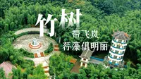 【赤水竹海国家森林公园】漫游赤水竹海，看这条视频就够啦！