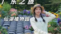 广东|位于深圳市区的一处植物园-仙湖植物园，景色是挺美的，空气也很好
