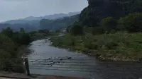 【张家界国家森林公园】首发 云乘车3#张家界公交武陵源1路消防中队→黄龙洞云乘车，绝美超自然喀斯特山水风光。
