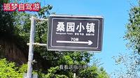 山水桑园，诗画淇河。网红秘境桑园小镇怎么游玩？一条视频讲清楚