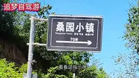 山水桑园，诗画淇河。网红秘境桑园小镇怎么游玩？一条视频讲清楚