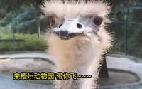 梧州动物园