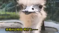 梧州动物园