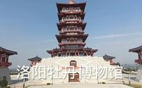 带你走进洛阳牡丹博物馆，一起了解牡丹的历史文化