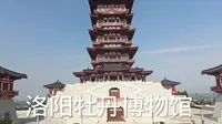 带你走进洛阳牡丹博物馆，一起了解牡丹的历史文化