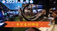 2023.8.4北京中国古动物馆，深度游，请全屏欣赏