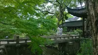 上海松江醉白池
