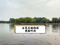 石家庄植物园乘船观雨。