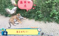 小伙拜访淄博动物园的扛把子！它这是对我有意见吗？