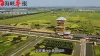 为大陆生态观光农业点赞！宁夏稻渔空间，葫芦娃和哪吒玩起来了！