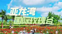 🌹玫瑰谷一整片花海也太浪漫了 🌸各色玫瑰肆意绽放，拍照氛围感拉满 🌿漫步花田被温柔包围，治愈感满满 三亚必打卡的浪漫圣地，随手出片📸 #亚龙湾国际玫瑰谷