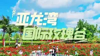 🌹玫瑰谷一整片花海也太浪漫了 🌸各色玫瑰肆意绽放，拍照氛围感拉满 🌿漫步花田被温柔包围，治愈感满满 三亚必打卡的浪漫圣地，随手出片📸 #亚龙湾国际玫瑰谷
