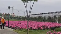 天鸣花海