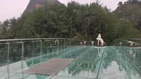 天柱峰景区攻略简介～