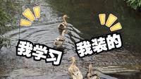 【毛概小组作业】花絮｜探家乡十年变化之安徽省铜陵市金塔村梦思康百合园