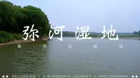 弥河湿地#青州这座城#户外