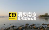 漫步鱼嘴湿地公园，在长江边看一场秋日温和而易逝的日落 | 扬子江大道 鱼嘴湿地 | 漫步南京 云游金陵 | 4K