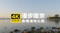 漫步鱼嘴湿地公园，在长江边看一场秋日温和而易逝的日落 | 扬子江大道 鱼嘴湿地 | 漫步南京 云游金陵 | 4K