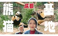 成都熊猫基地攻略｜看完这个视频…你也不一定能见到花花😂