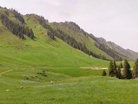 乌鲁木齐苜蓿台生态公园的那一片绿！