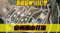 距徐州50公里，免费参观的景点 ，宿州西山花海
