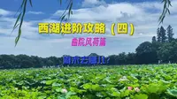 西湖进阶攻略（四）曲院风荷篇，夏季来到西湖怎么能不看荷花呢