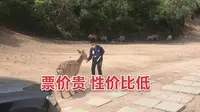 八达岭野生动物园门票和交通