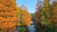 廣州雲溪植物園｜廣東日常實拍_20251206