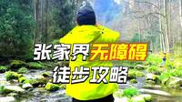 来张家界必打卡|金鞭溪封神级美景